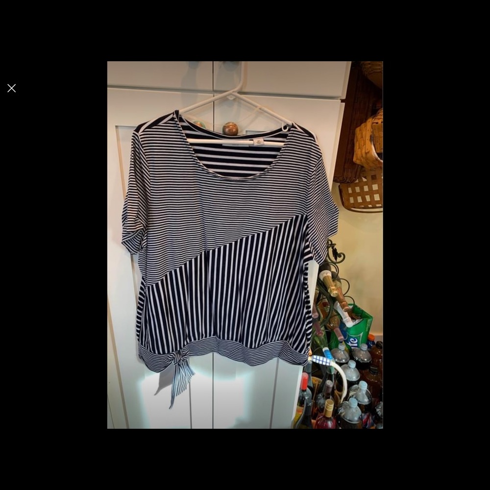 Sag Harbor Women’s Size 2X Top